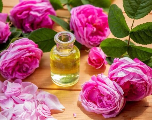 Liquid Organic Damascus Rose Oil, for Medicals Use, Cosmetics, Packaging Type : Drum