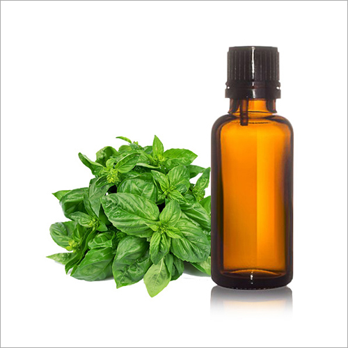 Holy Basil Oil