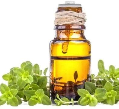 VDH Organic Marjoram Oil, Certification : CE Certified ISO 9001:2008