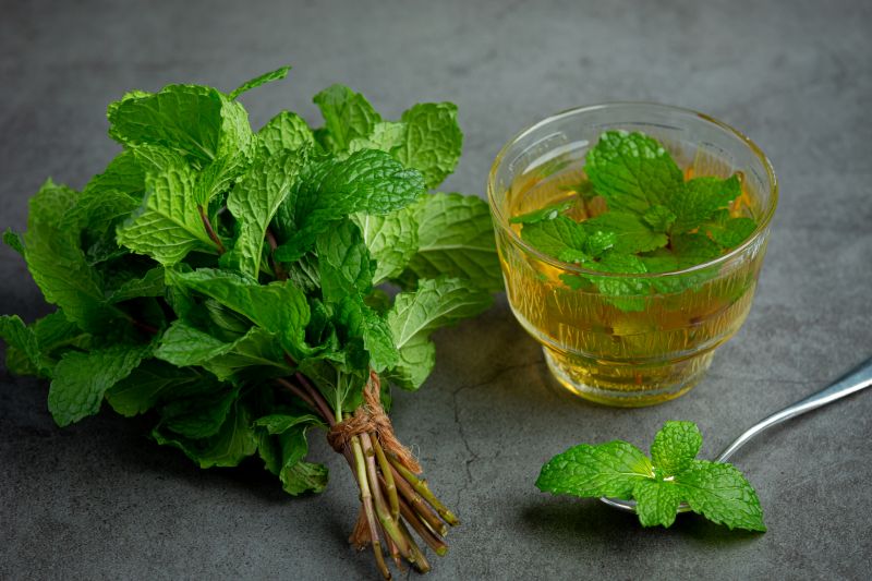 Spearmint Oil