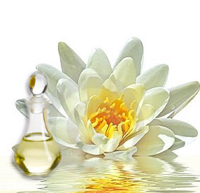 White Lotus Fragrance