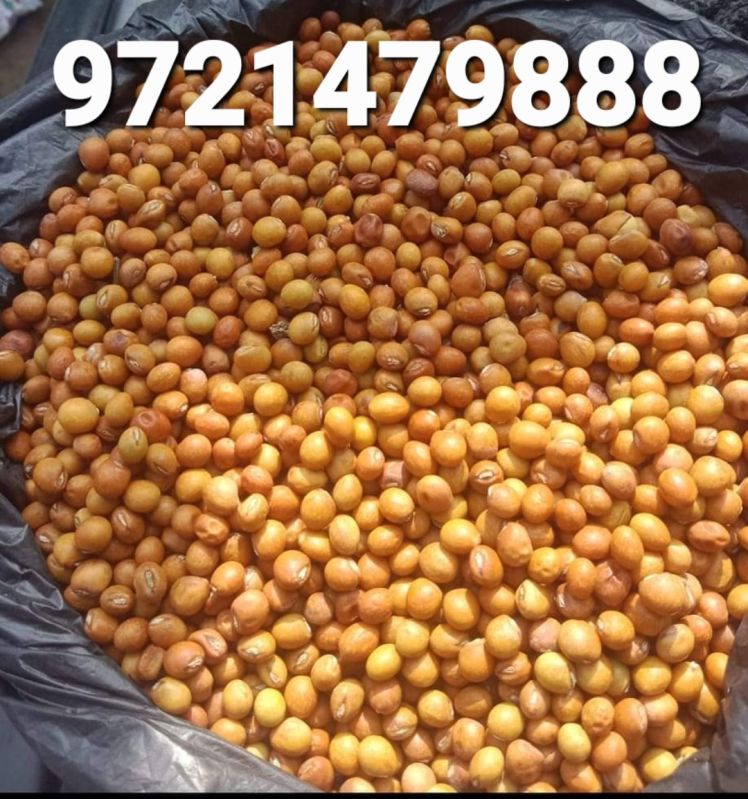 Arhar seeds bahar