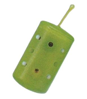 Plastic Flat Feeder, for Fishing, Color : Green