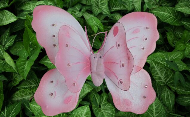 Net Butterfly, For Decorative Products