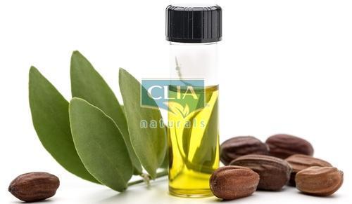 Jojoba Oil, jojoba oil, jojoba oil hair