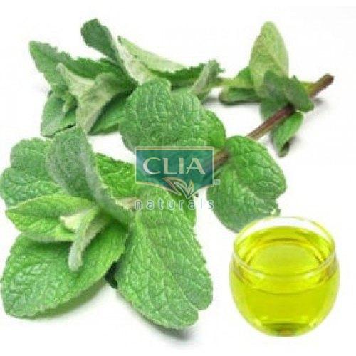 Clia Natural Peppermint Hydrosol, for Beauty, Form : liquid