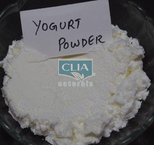yogurt powder