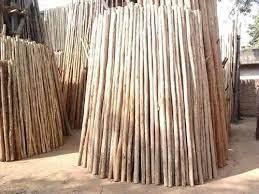 Brown Eucalyptus Poles, for Constructional, Industrial, Length : 0-5f, 10-20ft