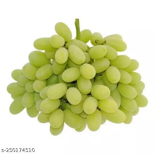 fresh grapes