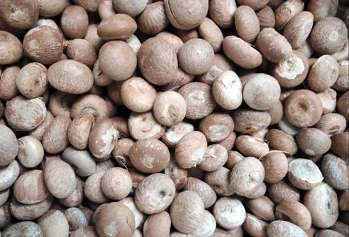 A Grade Whole Betel Nuts