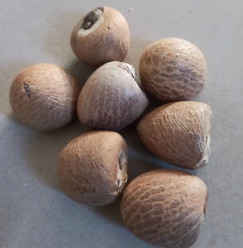 Natural Brown Betel Nuts, Packaging Type : Bag