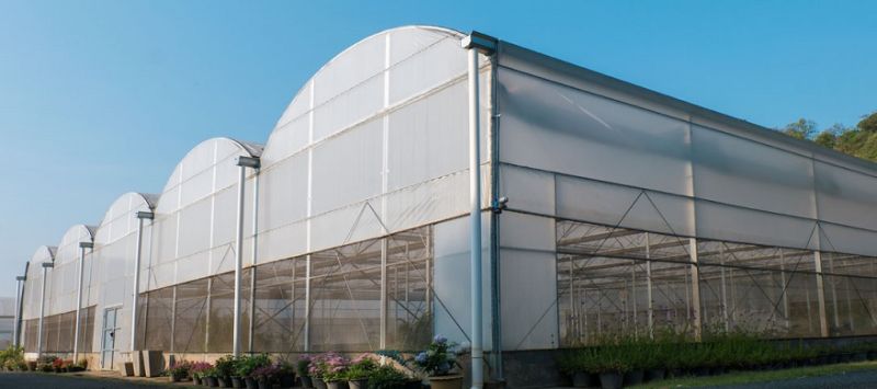 Aluminium Extruded Greenhouse Profiles, Size : Standard