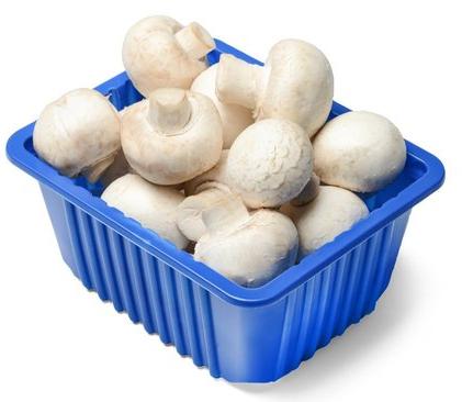 Fresh Button Mushroom, Packaging Type : Plastic Bag