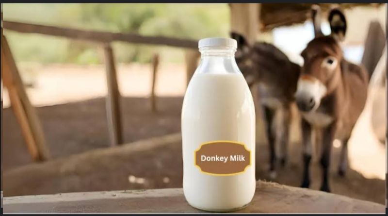 White ac farm fresh donkey milk