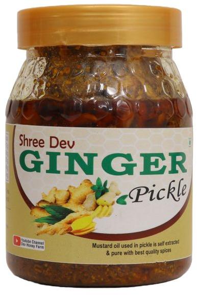 Shree Dev Ginger Garlic Pickles, Packaging Type : Glass Jar
