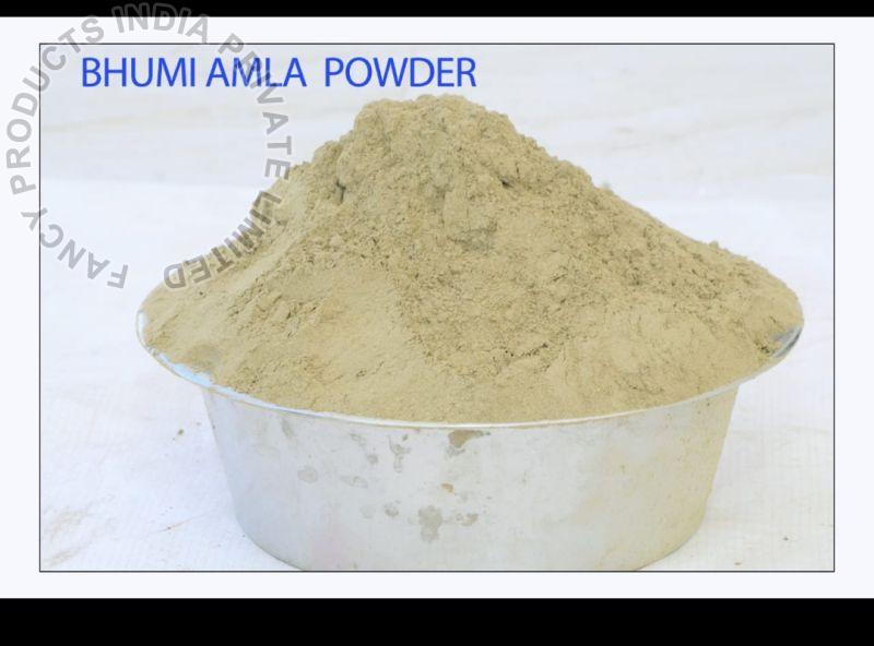 Common Bhoomi Amla Powder, for Skin Products, Medicine, Hair Oil, Color : Light Brown