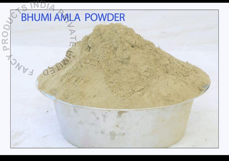 Light Brown Common Bhumi Amla Powder, for Skin Products, Medicine, Hair Oil, Purity : 99%
