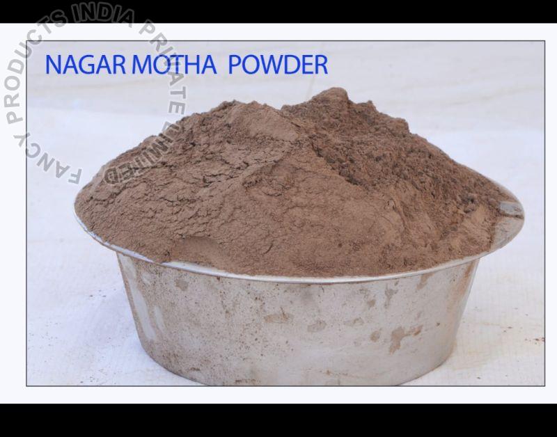 Nagarmotha Powder, Style : Dried