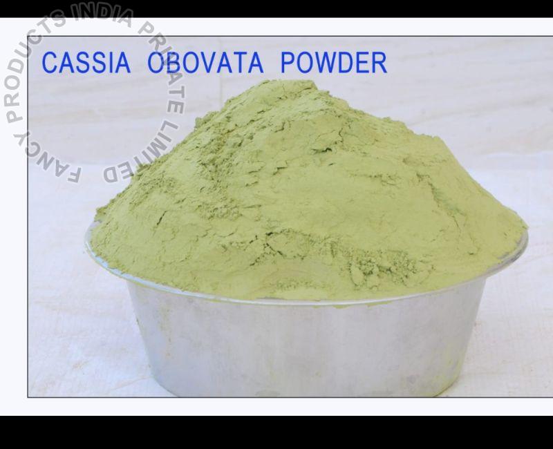 Natural Cassia Obovata Powder