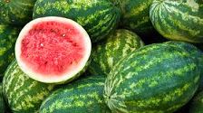 Natural Fresh Watermelon, for Cosmetics, Human Consumption, Shelf Life : 10 Days