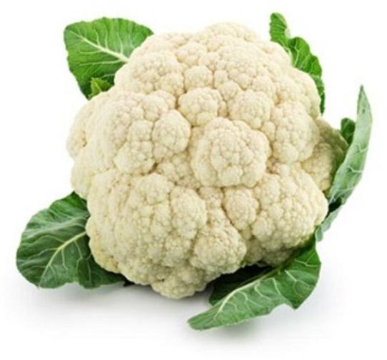 Fresh Cauliflower, for Cooking, Packaging Type : Gunny Bags, PP Bag