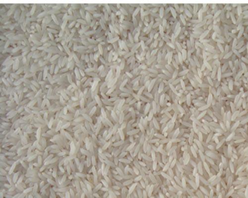 Gujarat 17 Rice