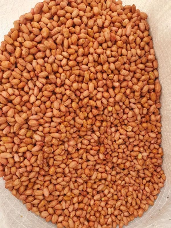 Freshia Legumes Peanut Seeds, Packaging Size : 50kg