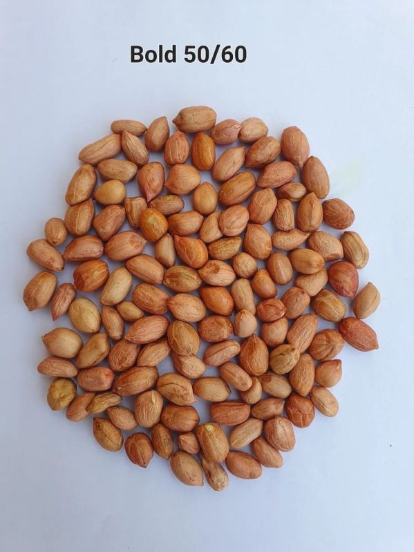 Freshia Peanut Ground Nut Seeds, Packaging Size : 50 Kg Jute Bag