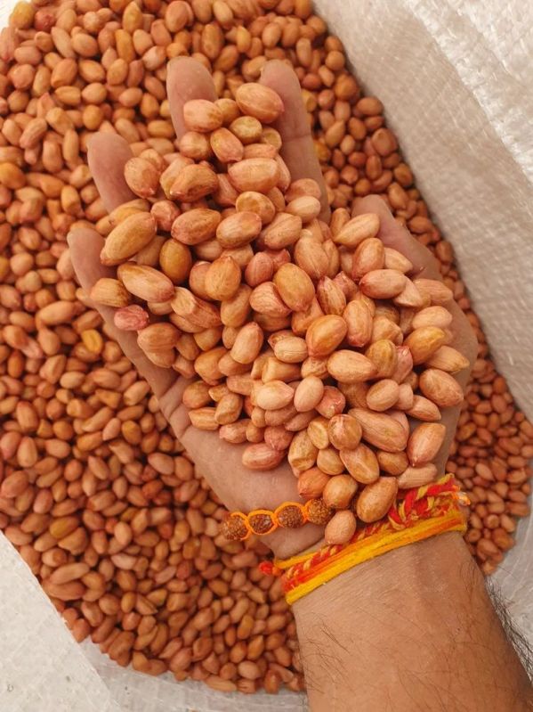 Freshia Raw Vietnam Peanut, Packaging Size : 50kg