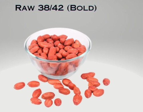 Freshia Red Peanut Seeds, Packaging Type : Sacks