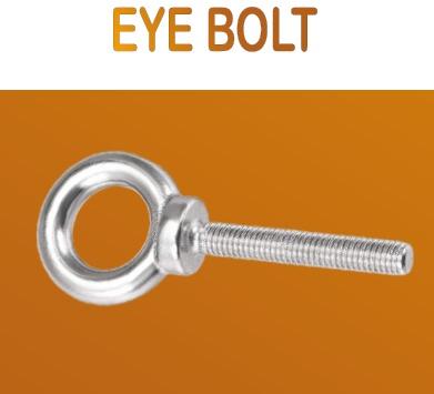 Shiny Silver Polished Stainless Steel Eye Bolt