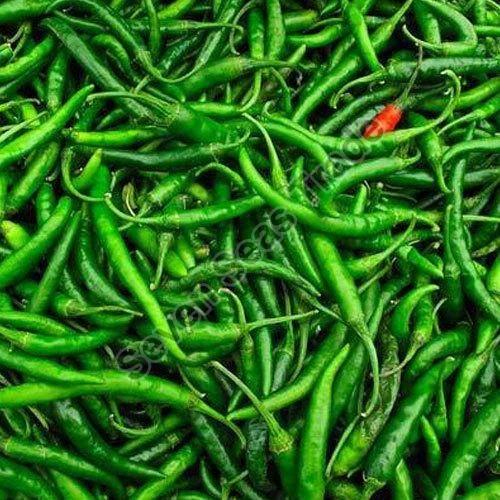 Fresh G4 Green Chilli