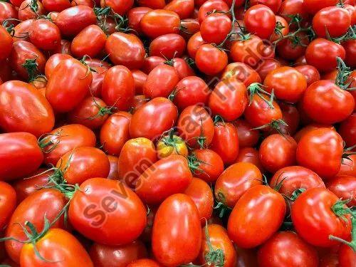 Fresh Red Tomato, Shelf Life : 10 Days