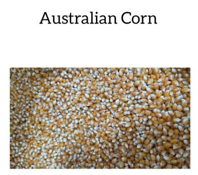 Australian Corn