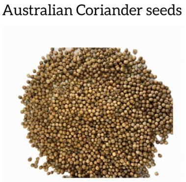 australian coriander seeds