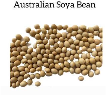 Australian Soya bean