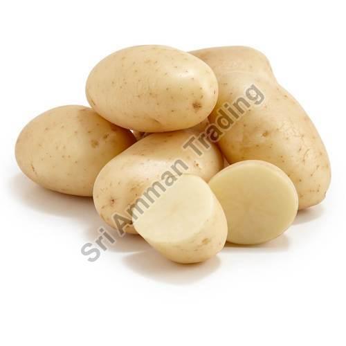 Organic A Grade Potato, Shelf Life : 10 Days