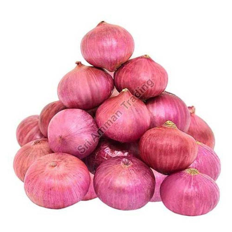 A Grade Red Onion, for Cooking, Shelf Life : 7-15days