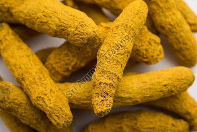 Yellow Double Polished Turmeric Finger, for Cooking, Shelf Life : 6 Month