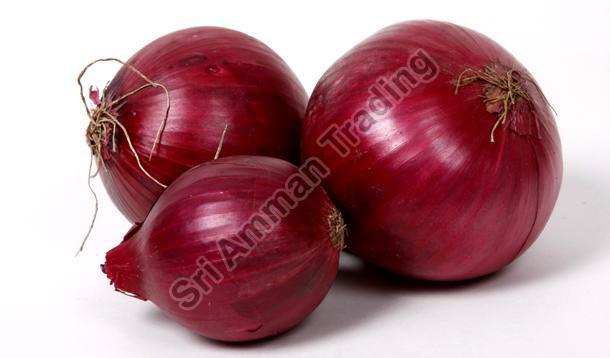 Fresh Red Onion, for Cooking, Shelf Life : 7-15days