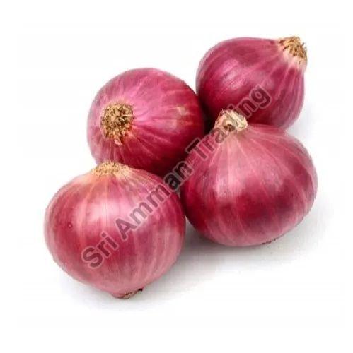 Hybrid Red Onion, for Cooking, Shelf Life : 7-15days