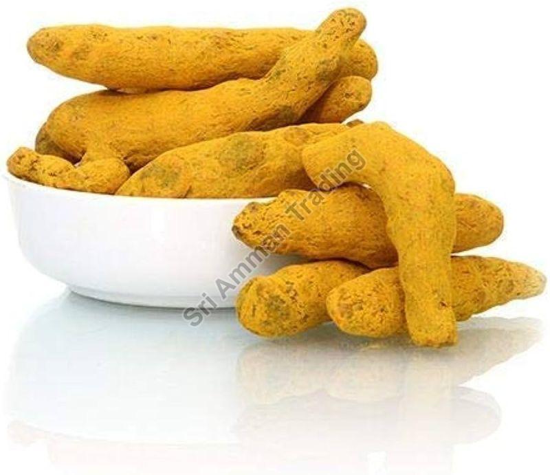 Yellow Kadapa Turmeric Finger, for Cooking, Shelf Life : 6 Month
