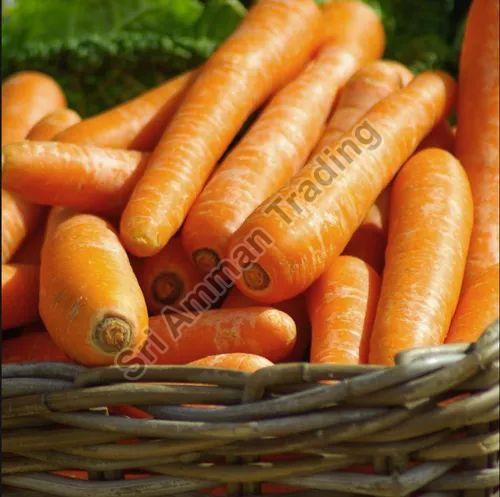 Red Natural Carrot, for Snacks, Pickle, Cooking, Packaging Type : Gunny Bag