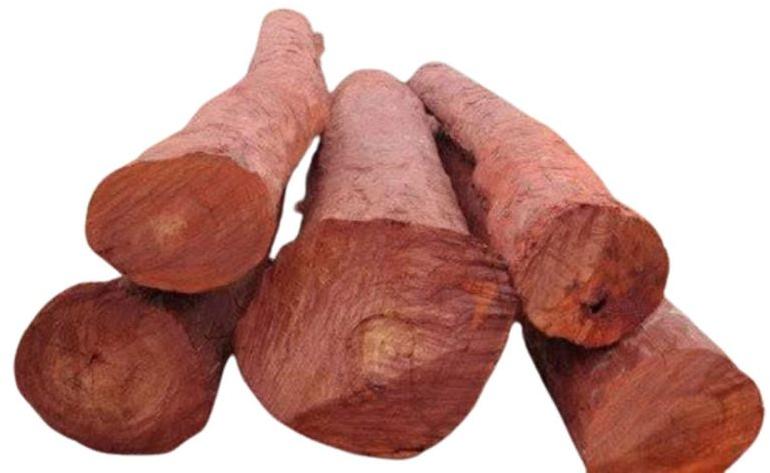 Natural Red Sandalwood Logs