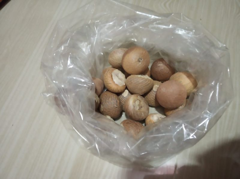 Dried Whole Areca Nut