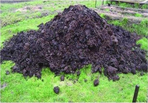 Brown Farm Yard Manure, For Agriculture, Packaging Type : Plastic Bag 