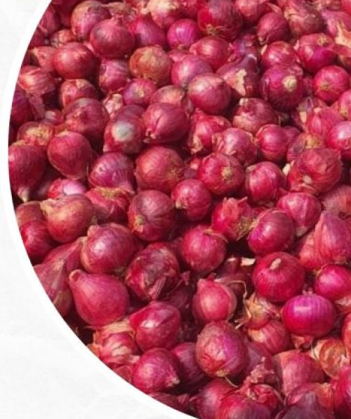 Red Onion, For Human Consumption, Packaging Size : 50kg