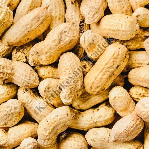 Shelled Natural Raw Groundnuts Pods, for Making Oil, Making Snacks, Packaging Type : Bag