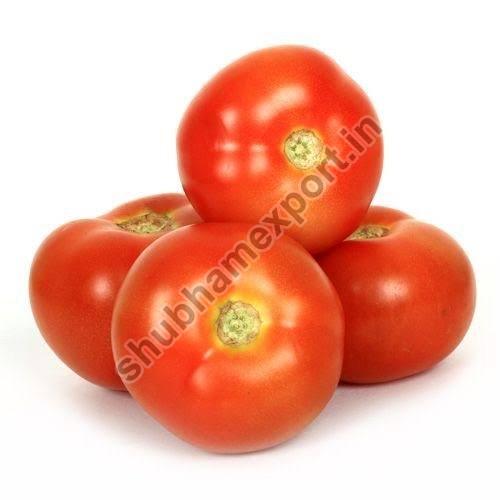 fresh tomato