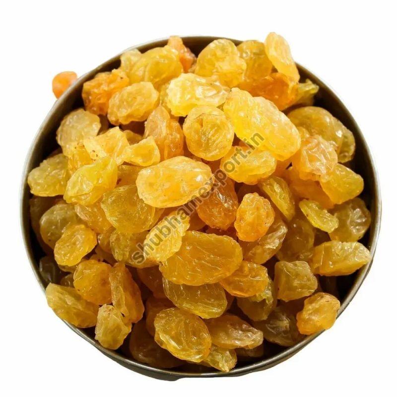 Golden Raisins, for Herbal Formulation, Human Consumption, Taste : Light Sweet